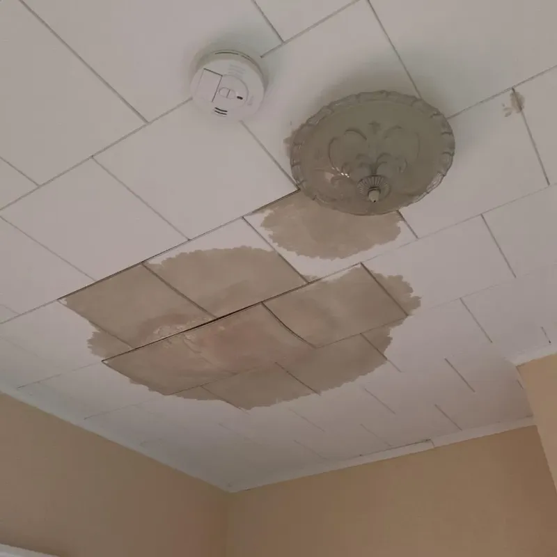 Ceiling Water Damage Repair in Gove, KS