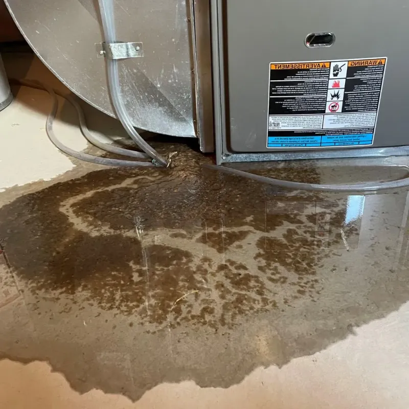 Pipe Burst and Leak Restoration in Gove, KS